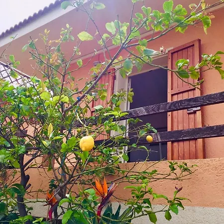 Apartmán Gente Di Mare -